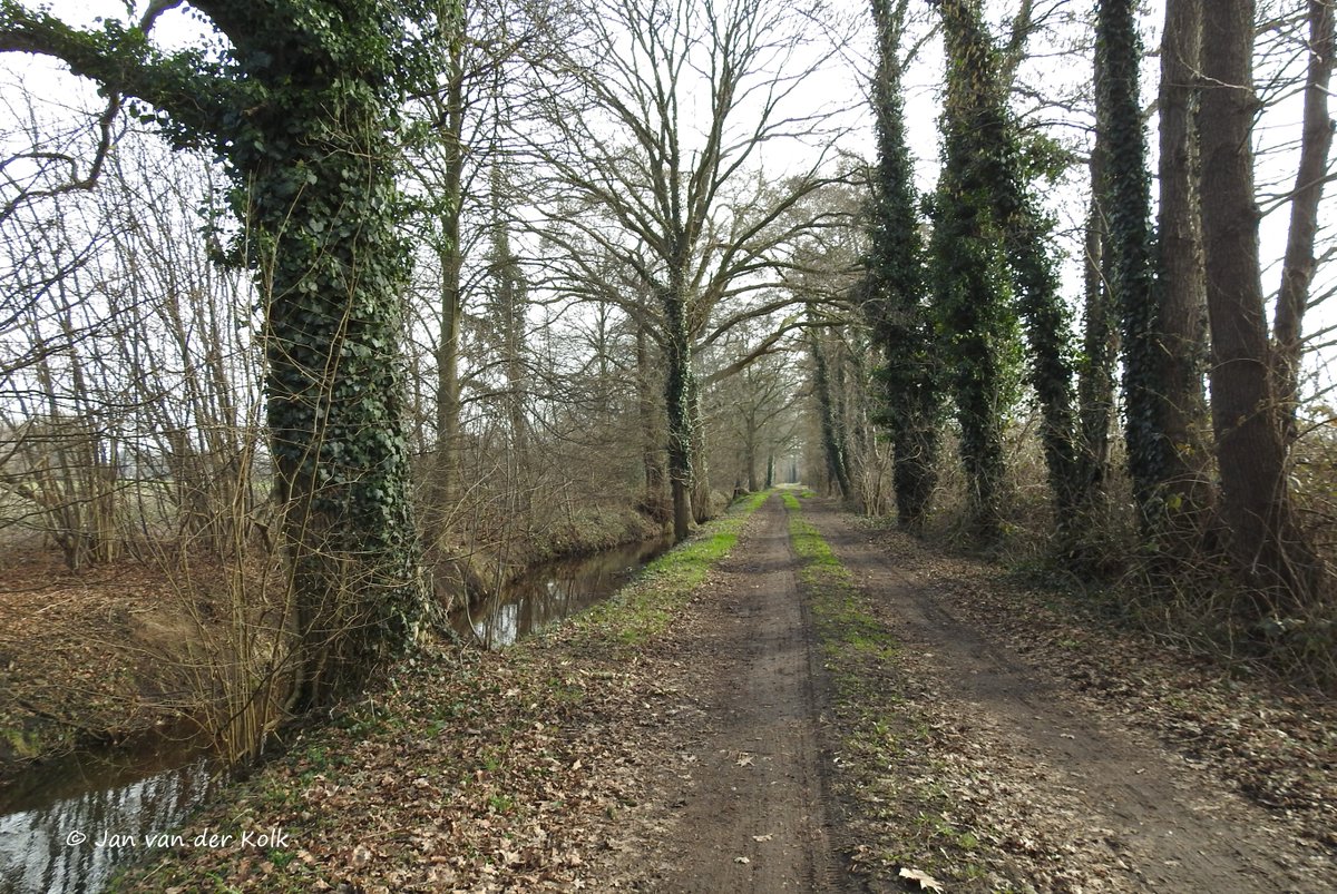 BekiekTwente's tweet photo. Op deze wandeling (blauwe route | 6,4 km | start: Usselerhofweg 5 | #WandelnetwerkTwente) zie je o.a. de bijzondere Wissinks Möl en loop je over de Usseleres.
#Usselo #Ossel
#Enschede #Twente #BekiekTwente
1/2 https://t.co/i1eC43CoNA