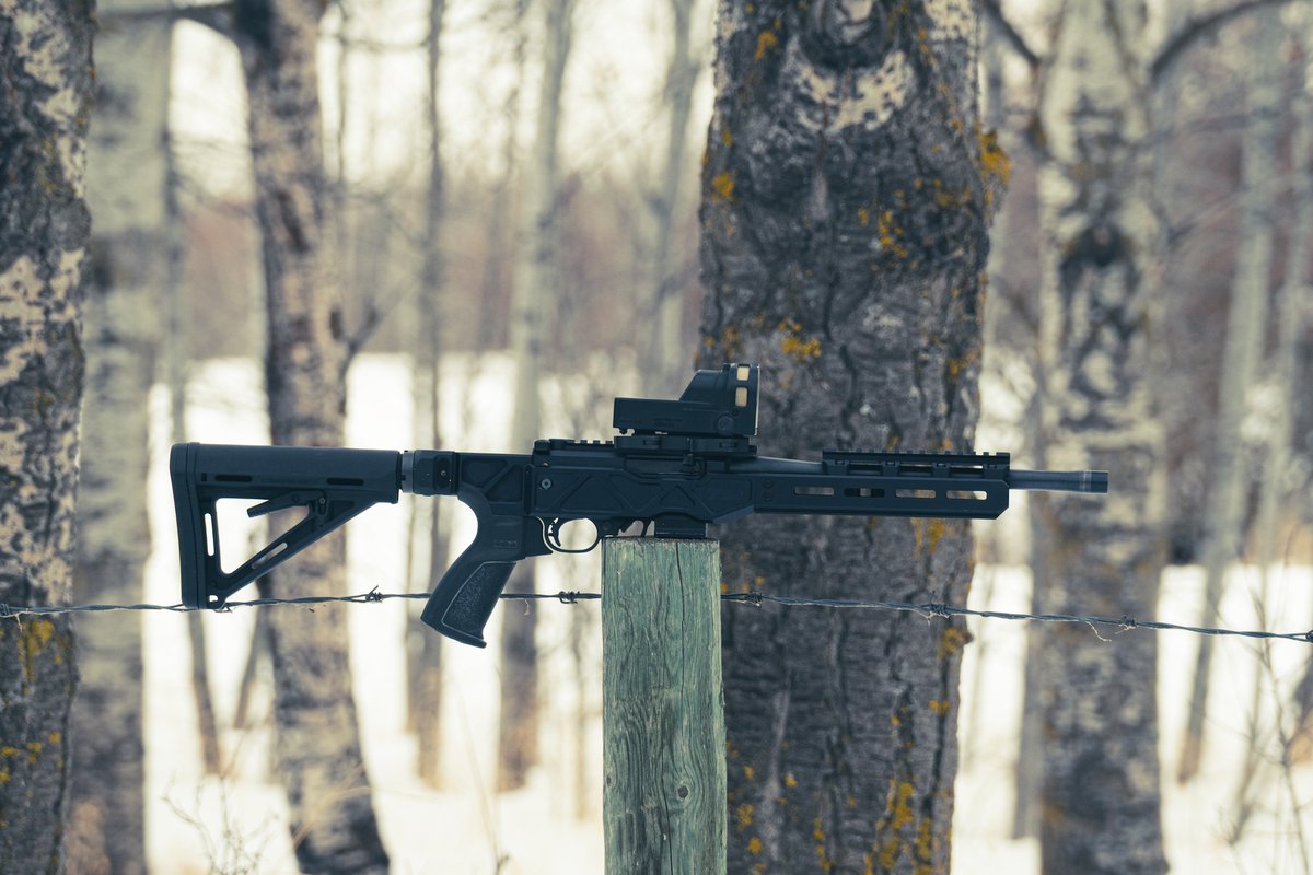 Spectre Ballistics  tweet media