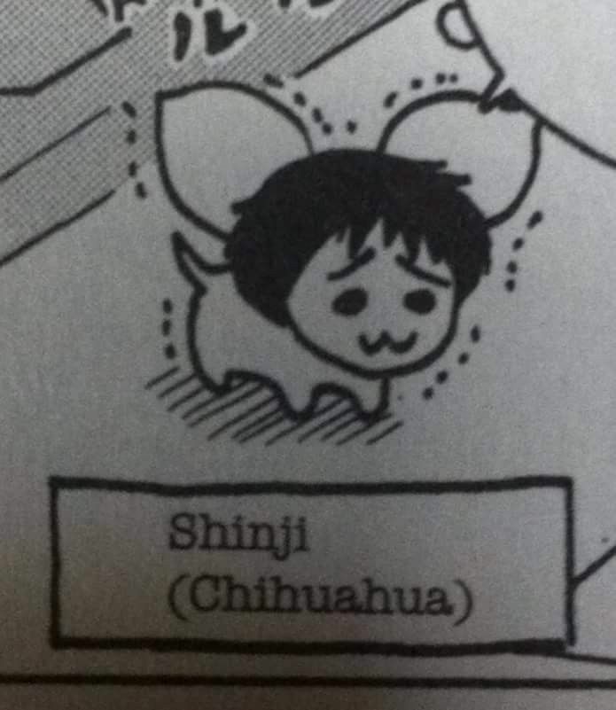 SpecterSRK5 tweet media