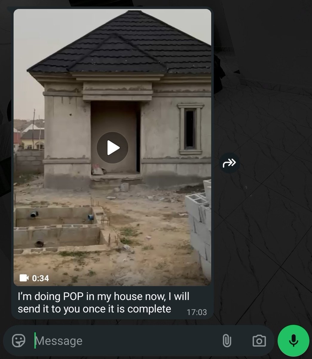 Lex 🔌📈 tweet media