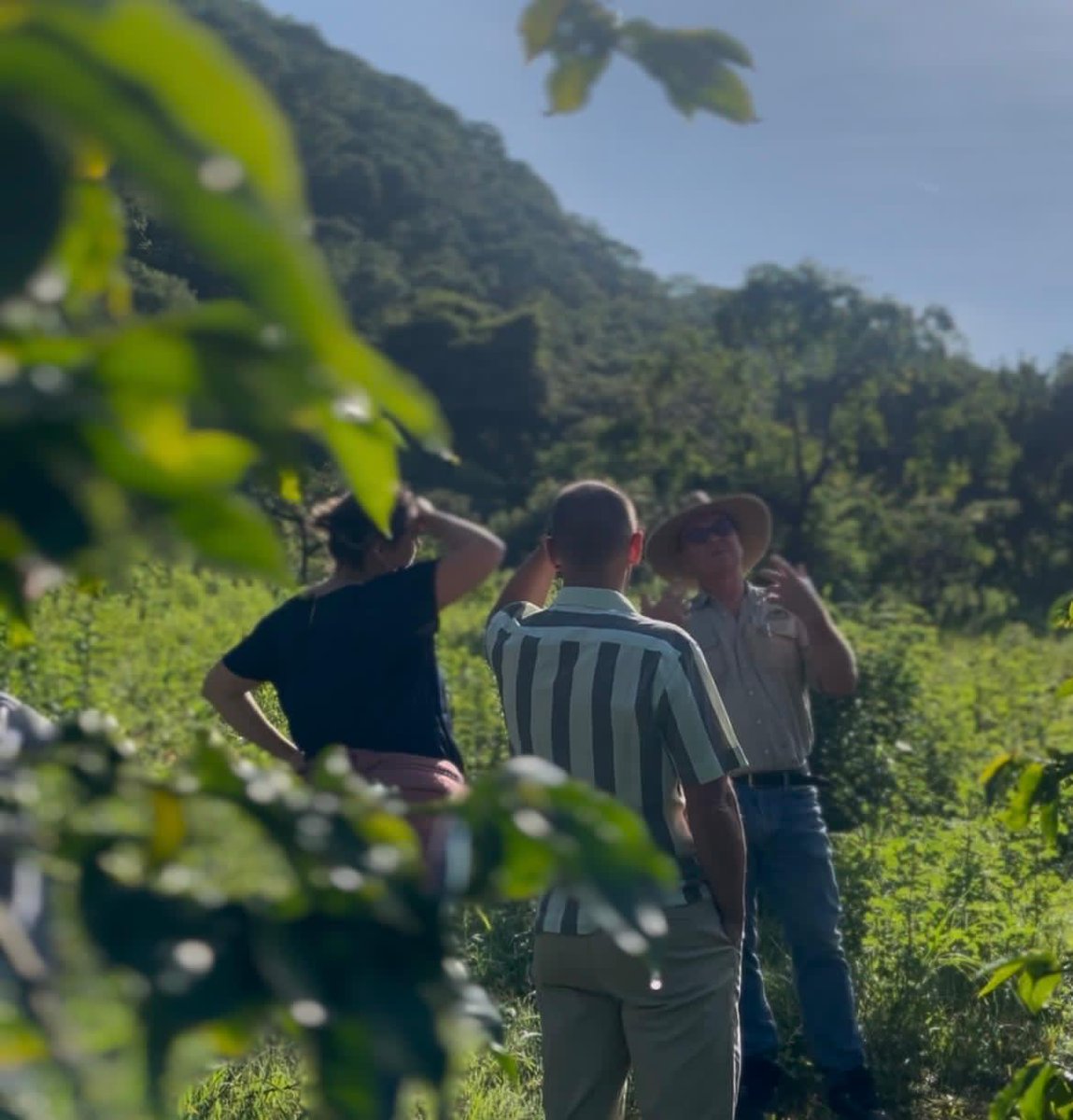 Jesper Kammersgaard 🇩🇰 tweet media