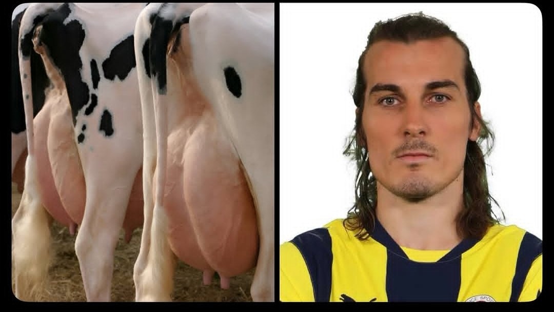 Aylalomke 💛💙 tweet media