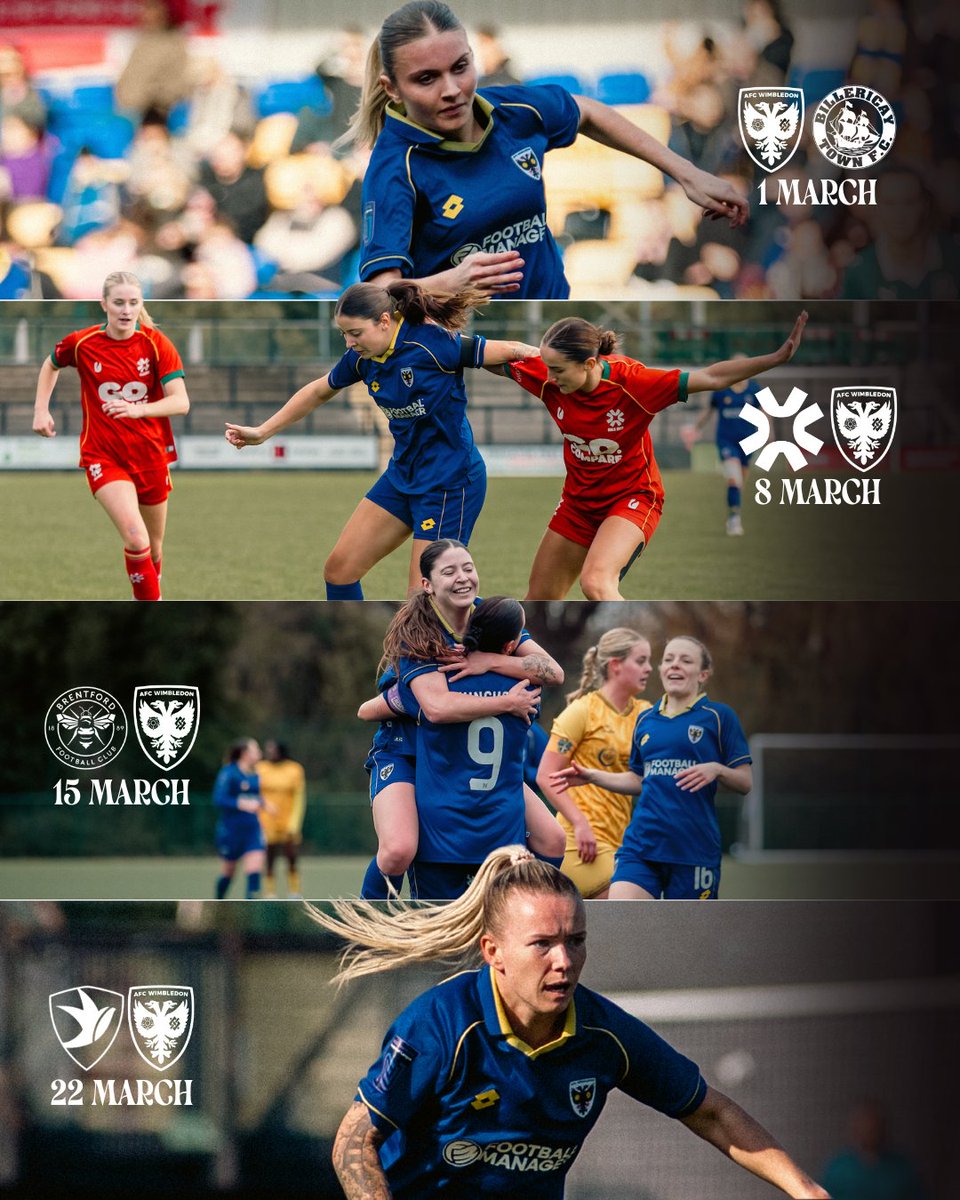 AFC Wimbledon Women tweet media