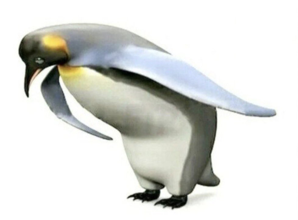 Scar Tissue tweet media