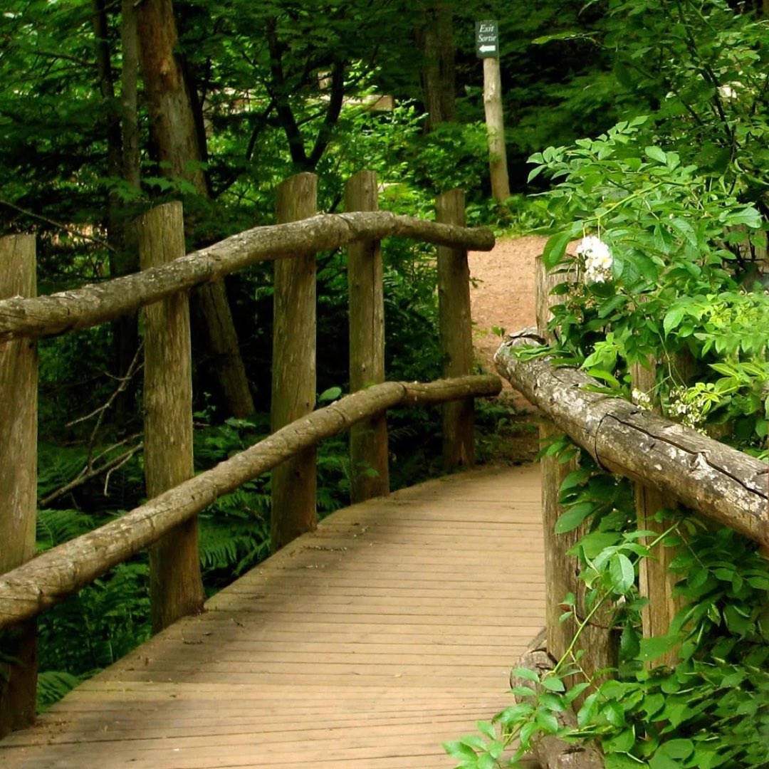 peicapstone2026's tweet photo. Wander through blooming 19th-century gardens, take a peaceful stroll along Lover’s Lane trails, explore the renovated barn, watch classic films, and enjoy period-specific events that bring history to life 👒🍃💚 #SpringOnPEI #GreenGables #ExplorePEI #TourismPEI #HOST4103 https://t.co/cE6g0iRCkS