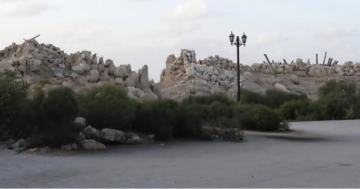 بروفيسور محمدالطريقي tweet media