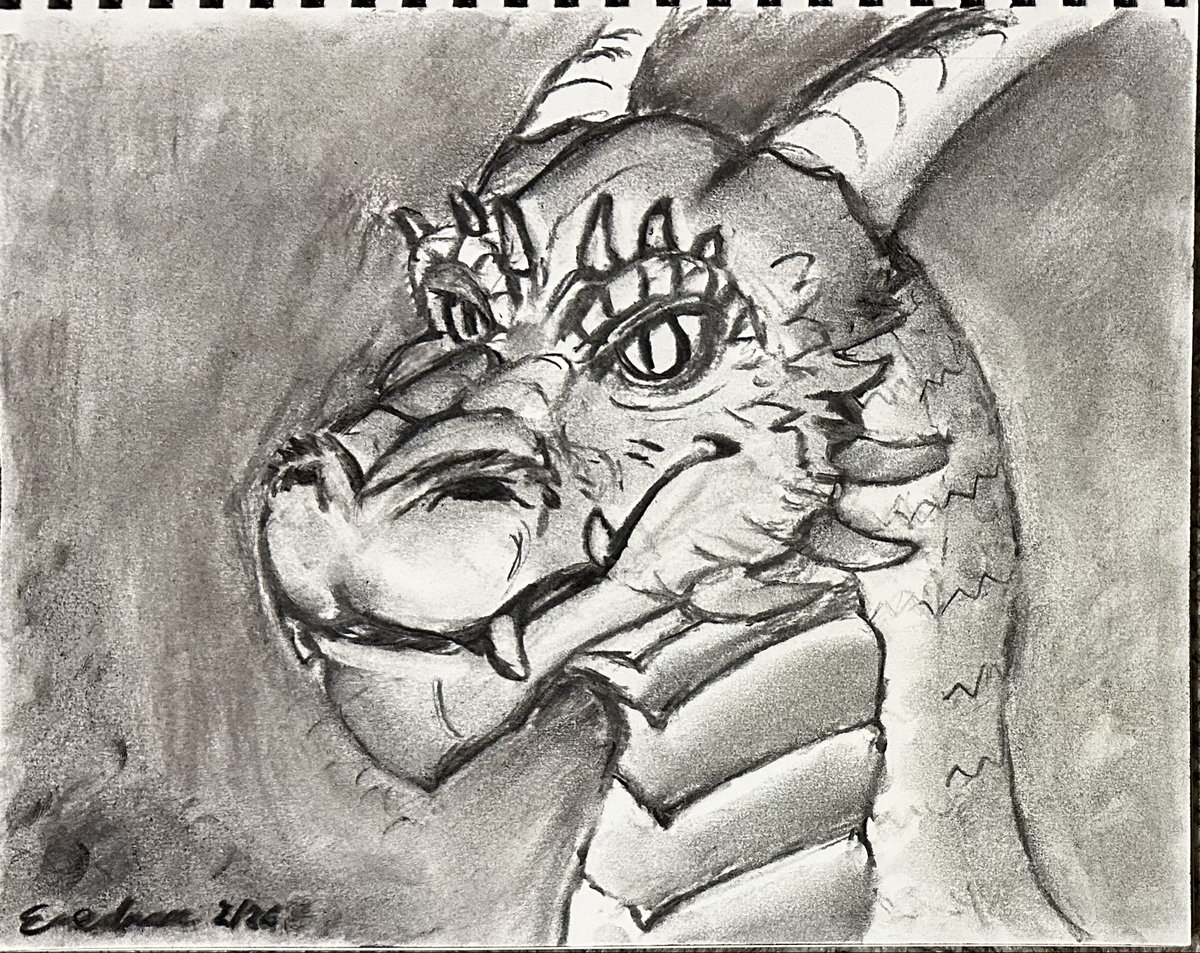 Professional Dragon 🐲 tweet media