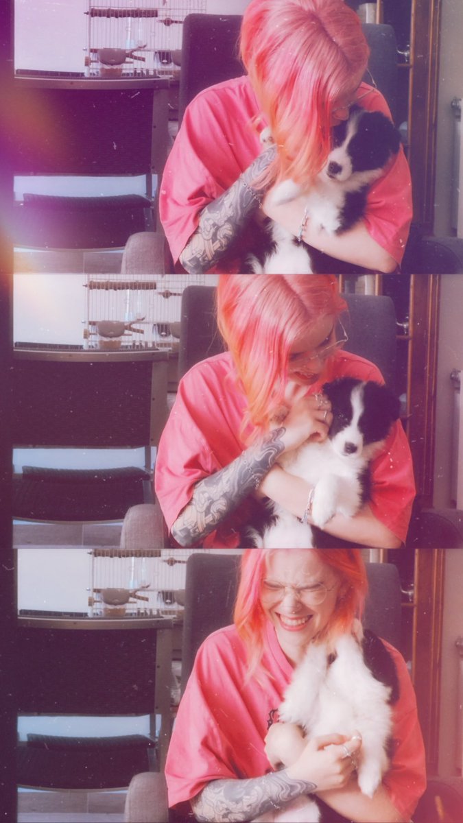 sandraku tweet media