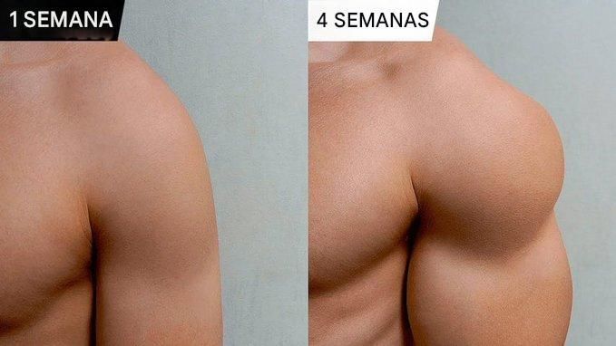 5 EJERCICIOS para FORTALECER hombros y bíceps:

- 🧵 -