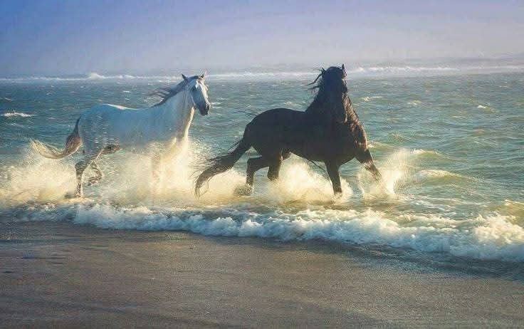 ᅠ ᅠ (@coffeeebreaak) on Twitter photo 