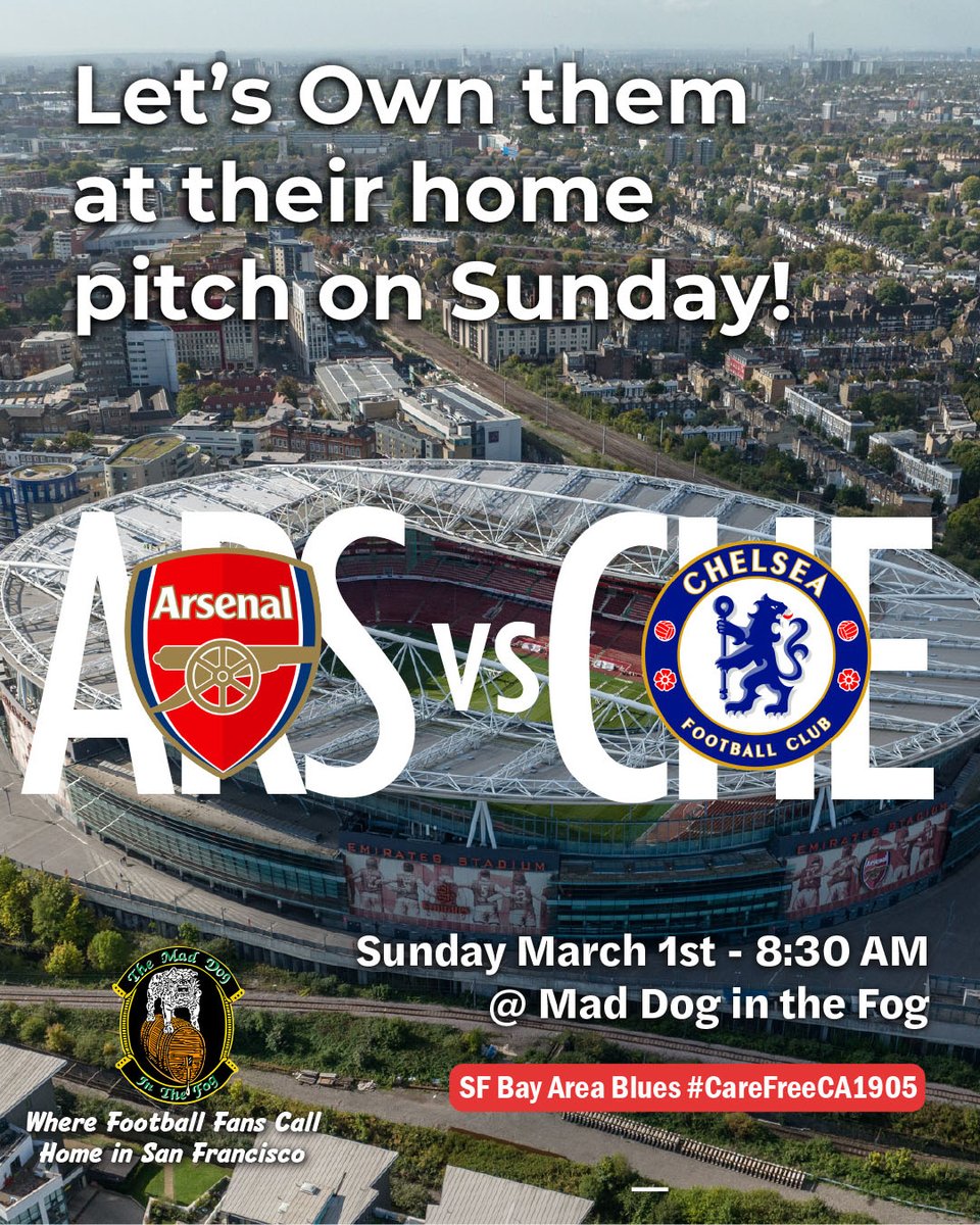 SFBayAreaBlues⭐⭐ tweet media