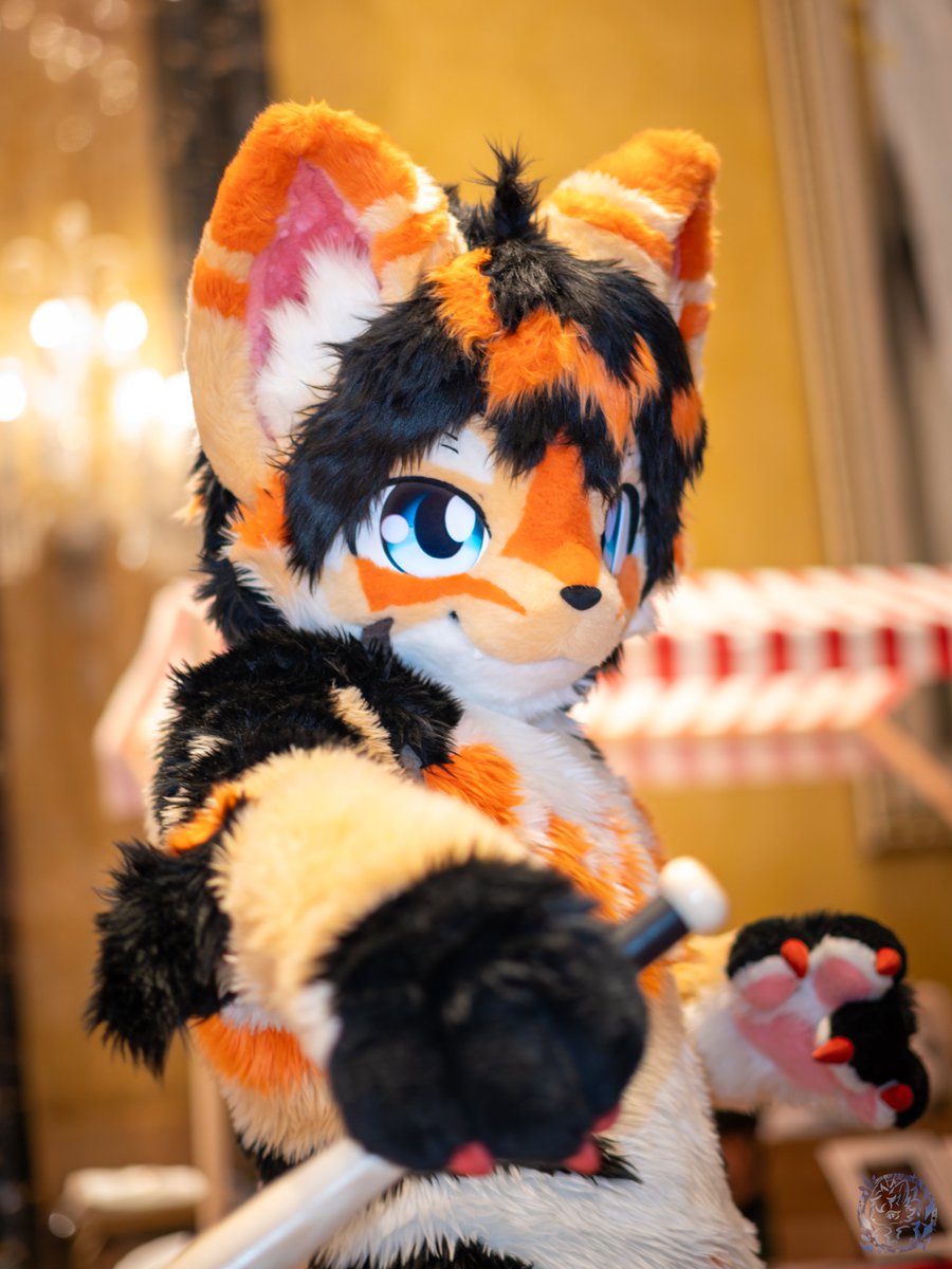 蒸汽包子 tweet media