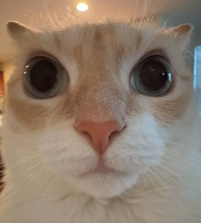 vx-underground tweet media