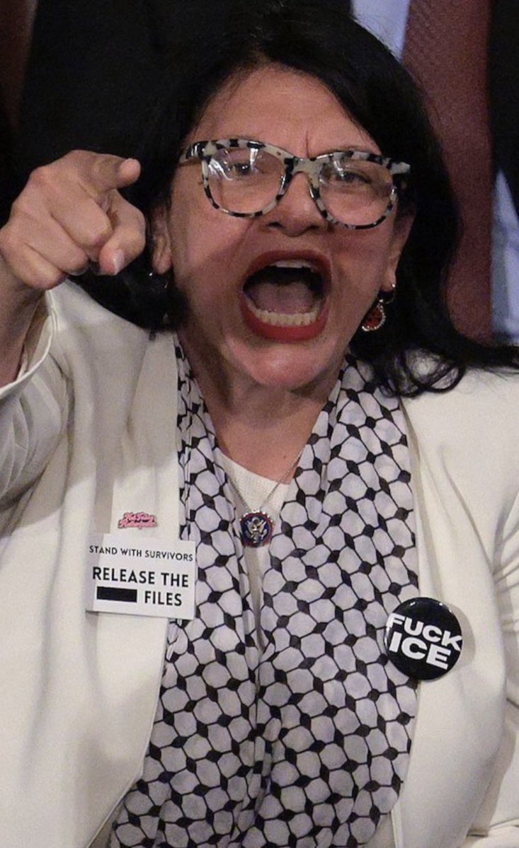 1Nicdar's tweet image. 🚨Think about what we saw during Tuesday night’s SOTU!

In just this one clip alone, we have a Somalian screaming at the President of the United States, a Hamas supporting woman of Palestinian descent wearing a 'F*ck ICE' button, and a mentally unstable deranged man pretending to