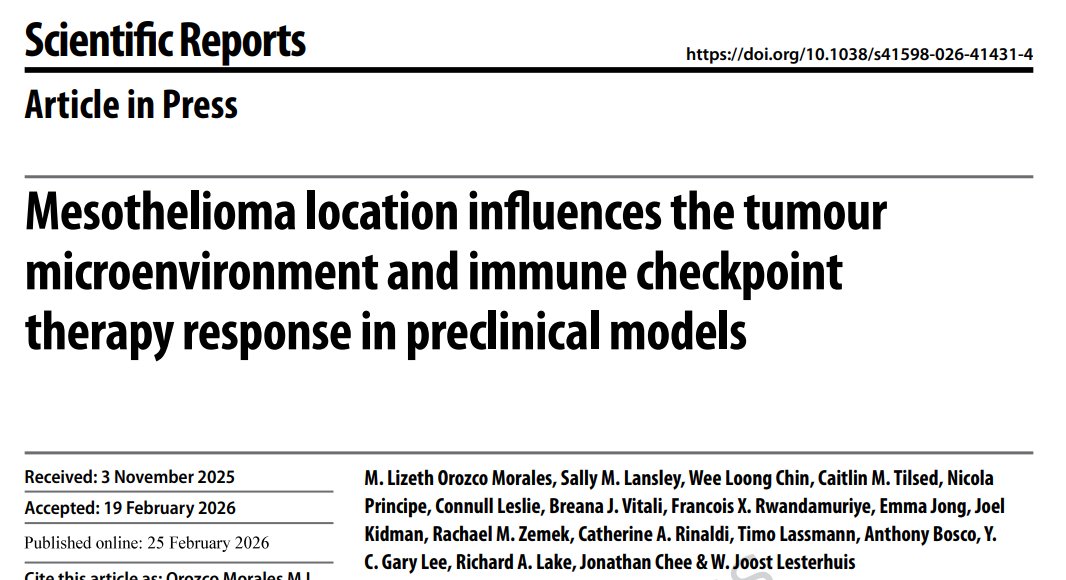 Y C Gary Lee tweet media