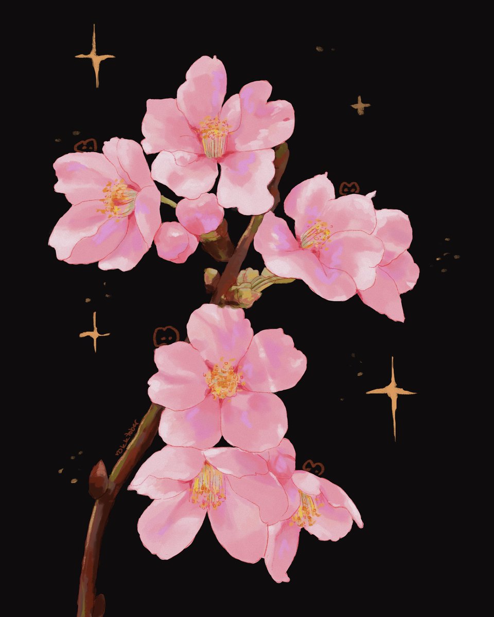 sakura in bloom 🌸