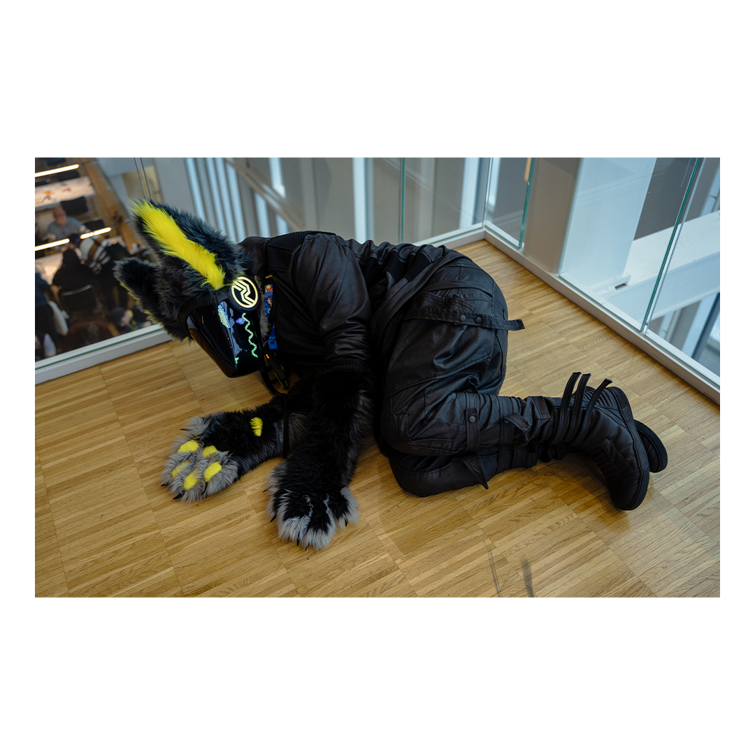 💚Lou🤎 tweet media