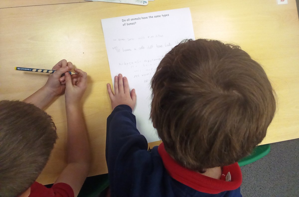 WBJYear3's tweet image. Y3 Science - We started our new topic today, 'Animals including Humans' with a silent debate sharing our thoughts about key questions. @WBJJuniorSchool #wbjsscience