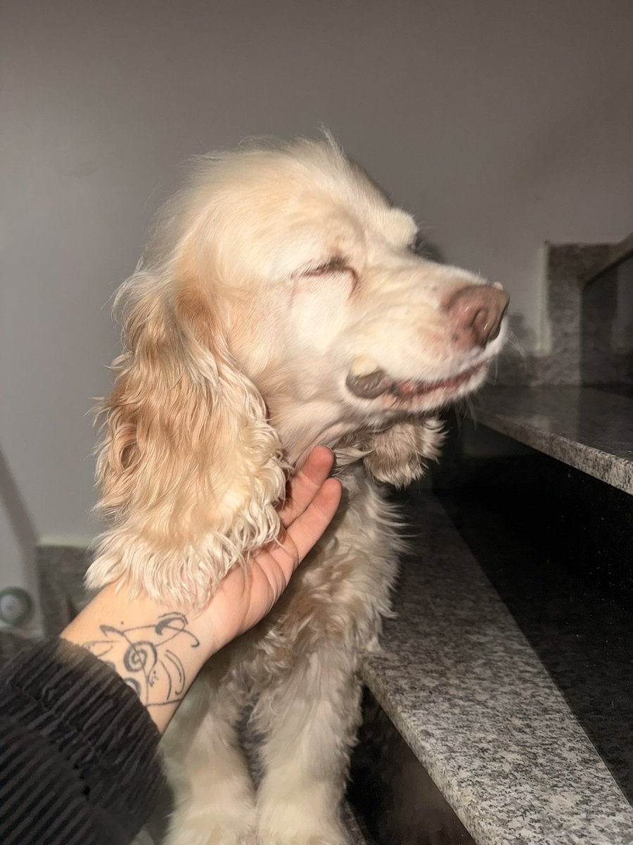 HEYECANDAN KEMIGINI ALIP GELDI SALAK KIZ I AM LOVE IN WITH YOU TOFI 🥺