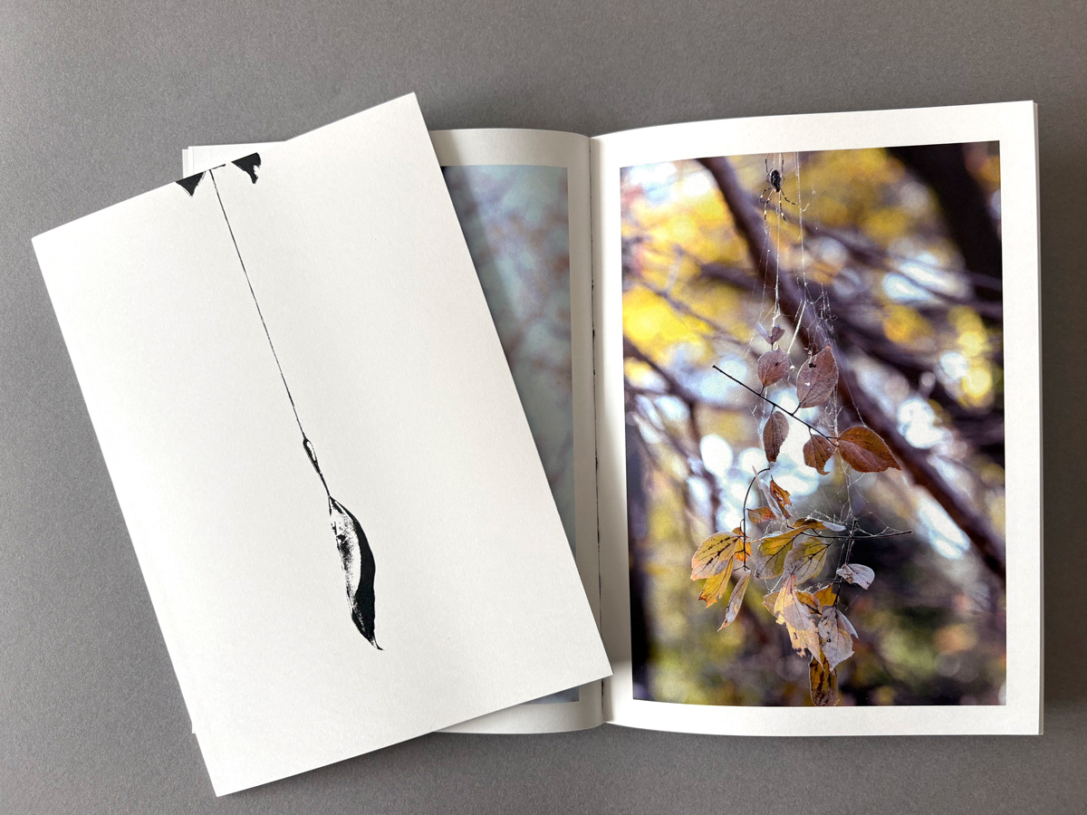 curly_mads's tweet image. 「クモノイト 🕸」
朝の光の中で出会った、 蜘蛛の糸に留まった葉や虫たちの美しい偶然の瞬間の一冊です📕

「ZINES FAIR at CP＋」
2/28-3/1
パシフィコ横浜 アネックスホール2F 特別室
🕷ブース：EAST ROOM No.151 🕷

お待ちしております❗️
#zine #spider #蜘蛛 
@cpplusjp
cpplus.jp/zinesfair/