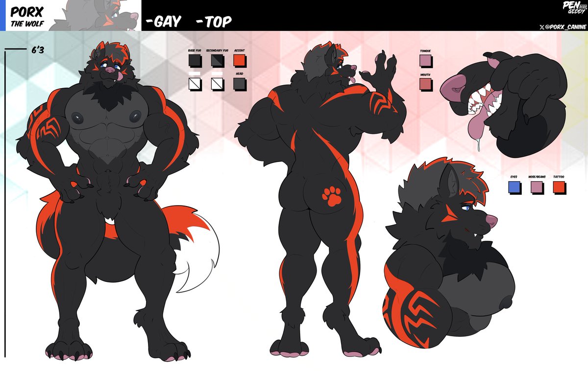 Porx 🐺💙 tweet media