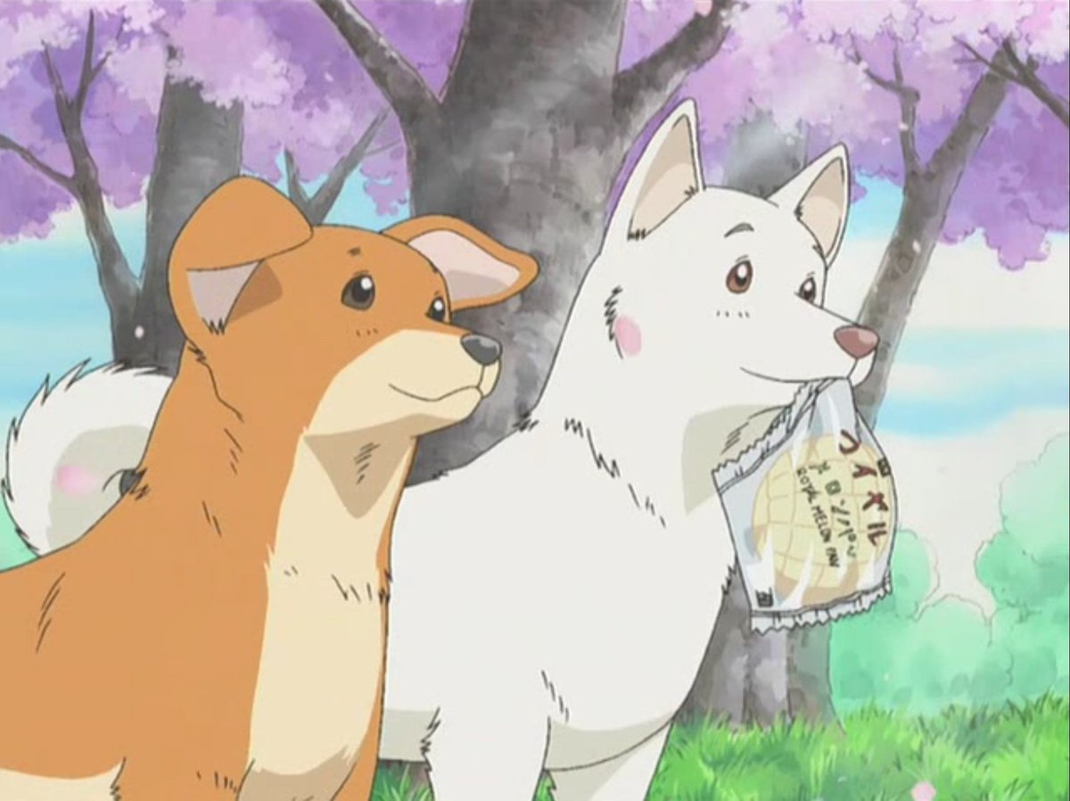 SCA Fansub 🏳️⚧️ tweet media