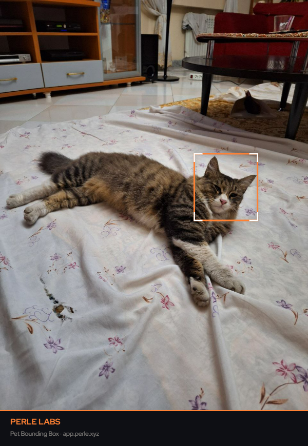 lukegarfild 🦅 SuperIntent 🎯 tweet media