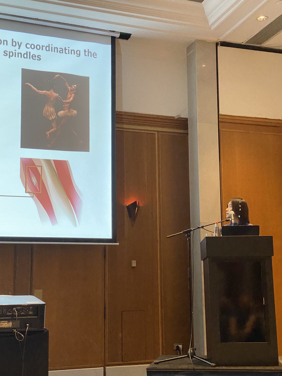 ZelzerLab tweet media