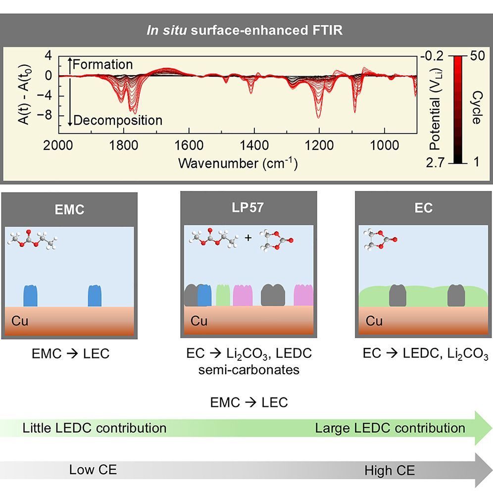 DMSE at MIT tweet media