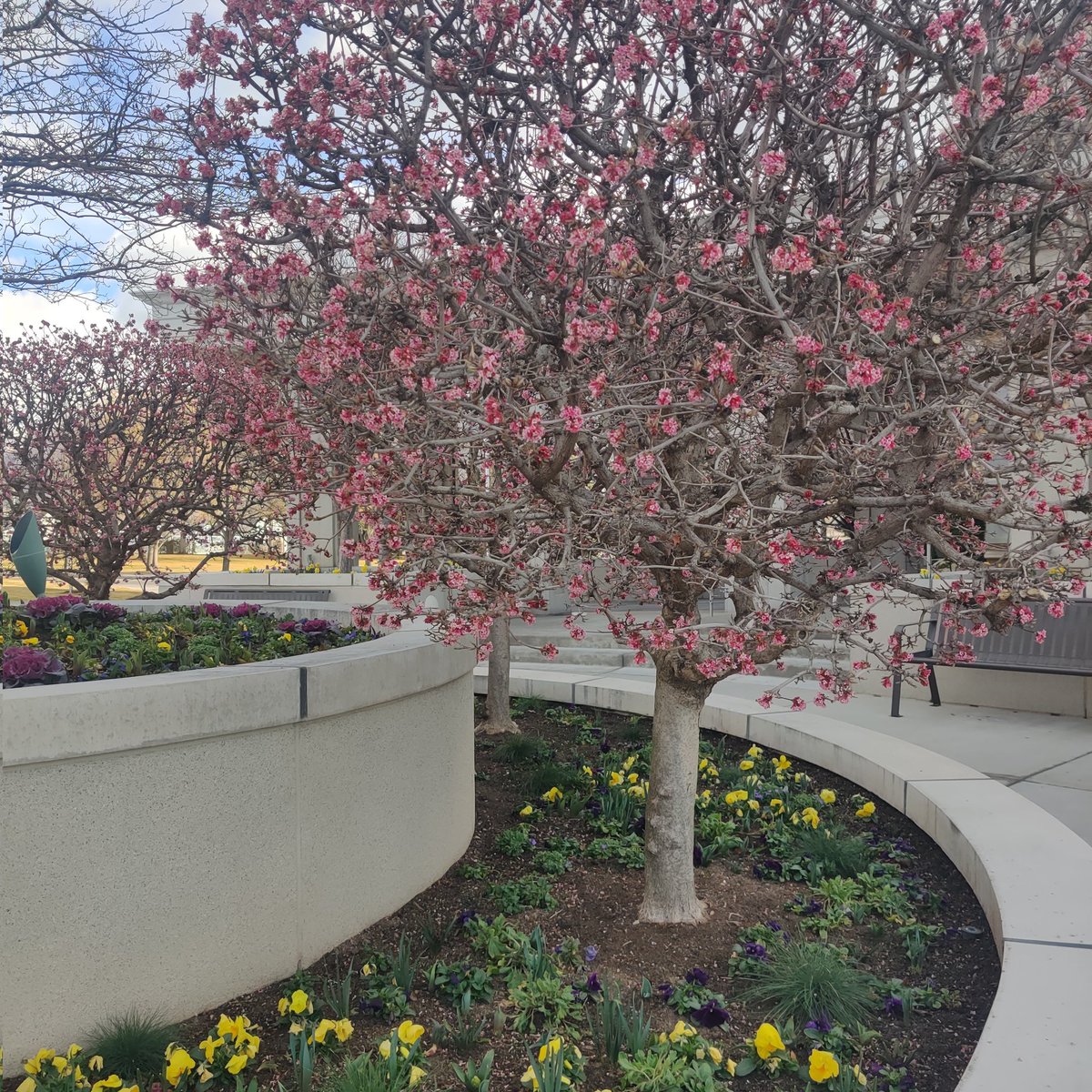 I would welcome this sight if it were the end of March or the beginning of April. Seeing this at the end of February is disconcerting. 
#needsnow #needsnowpack #prayforwater