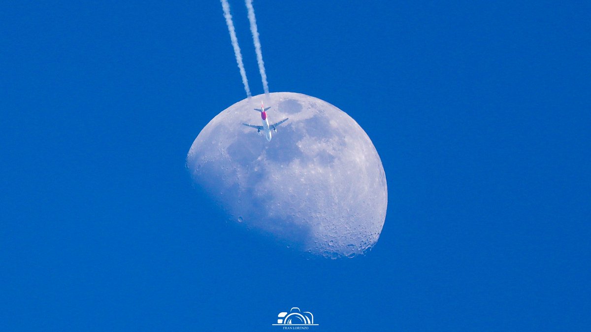 Fran Lorenzo tweet media