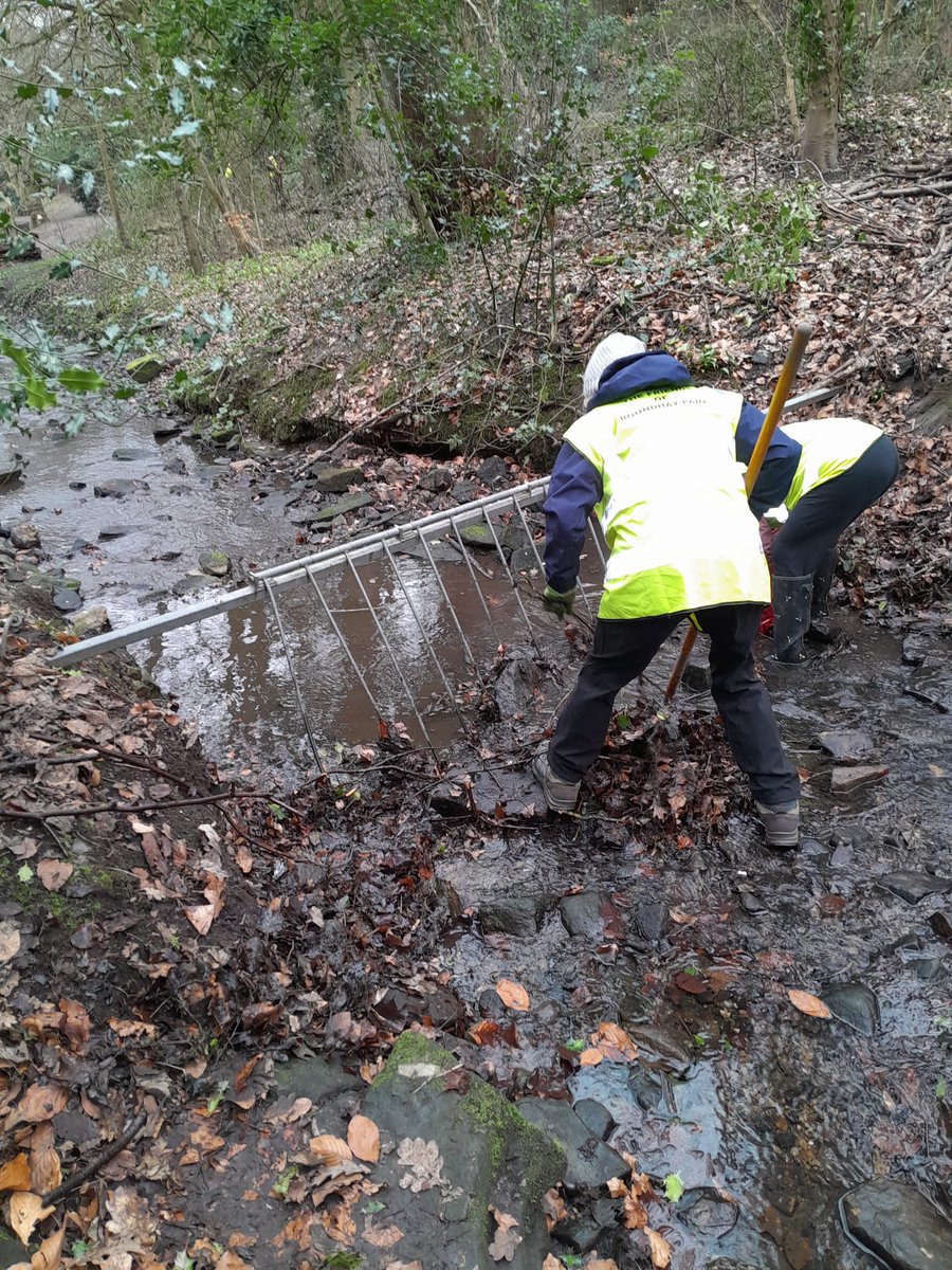 Friends of Roundhay Park tweet media