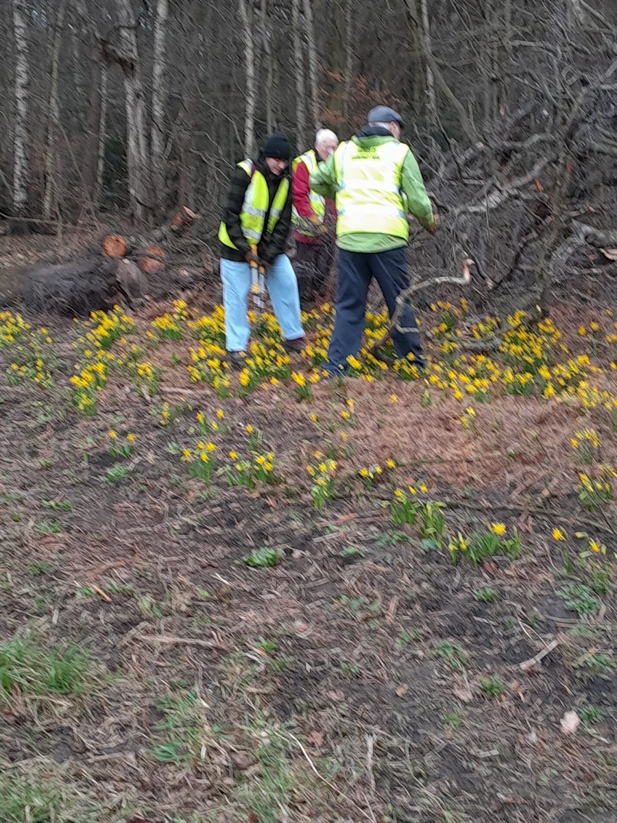 Friends of Roundhay Park tweet media
