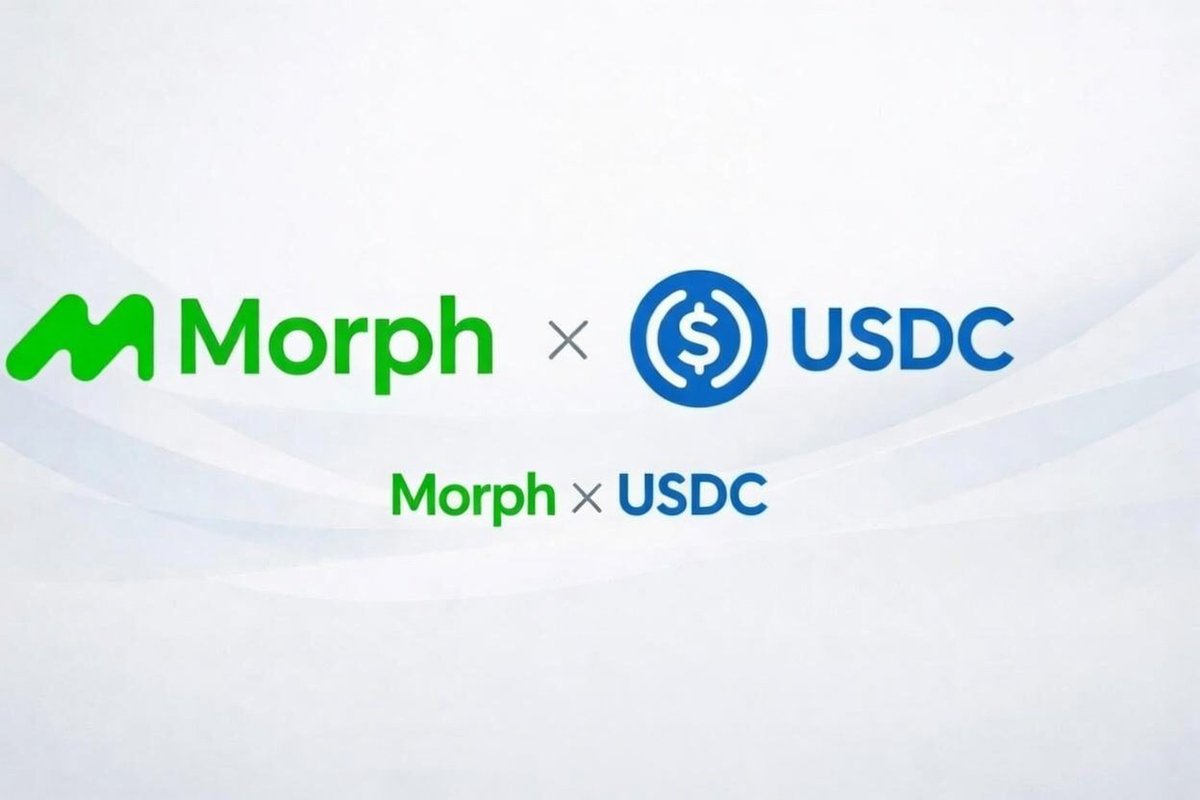 YungK1ddy's tweet image. #MorphUSDC 🔥🔥🔥🔥🔥