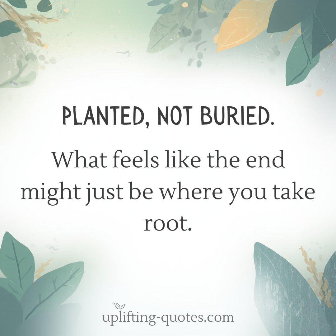 Uplifting Quotes tweet media