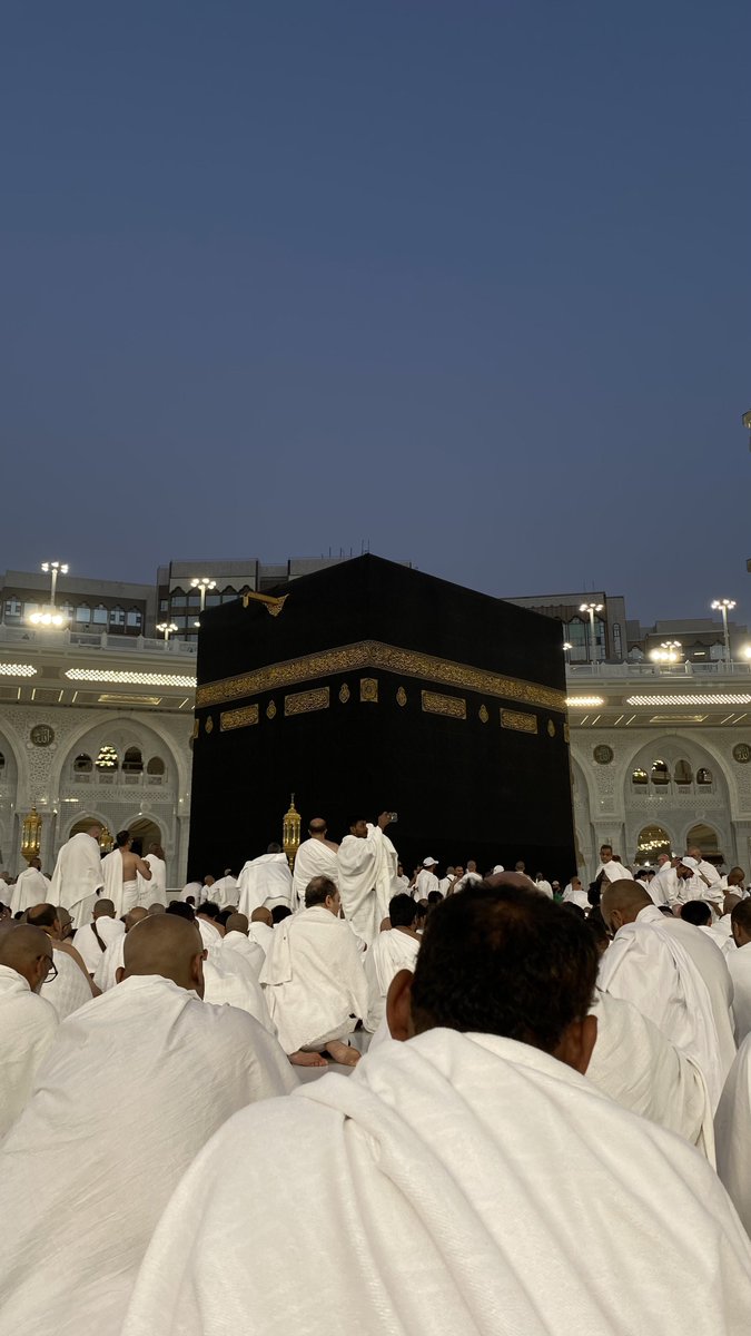 مجـيد 🎻 tweet media