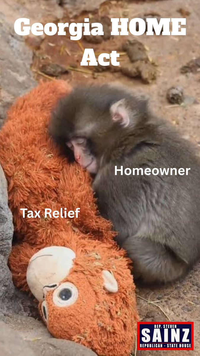 Rep. Steven Sainz tweet media