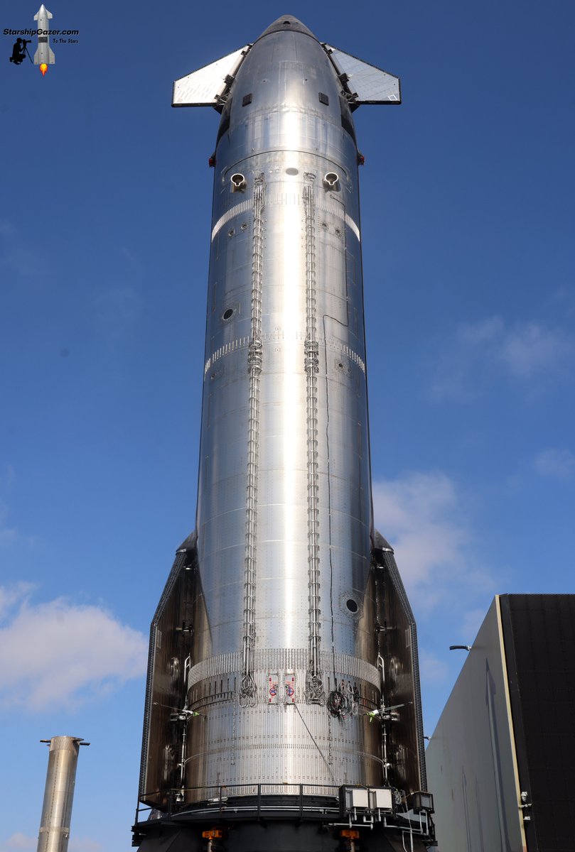 Starship Gazer tweet media