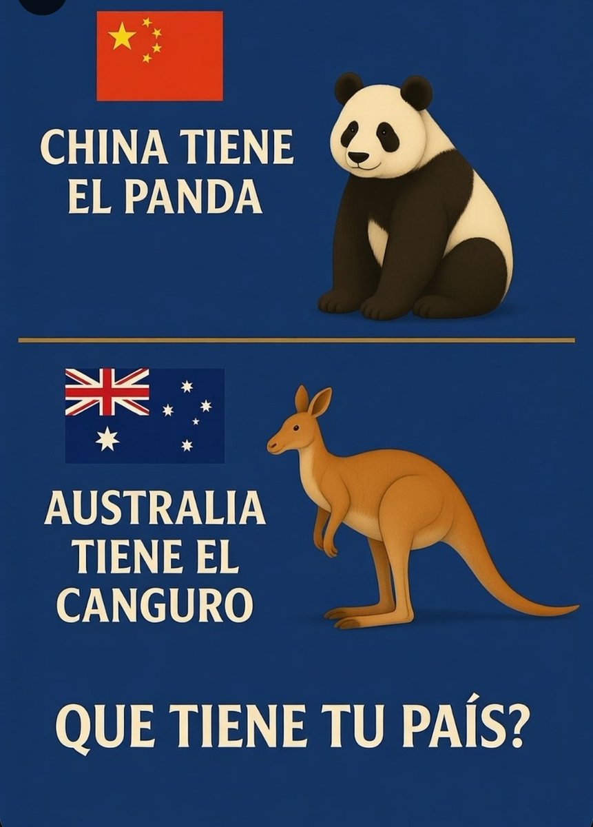 SolidKroket tweet media