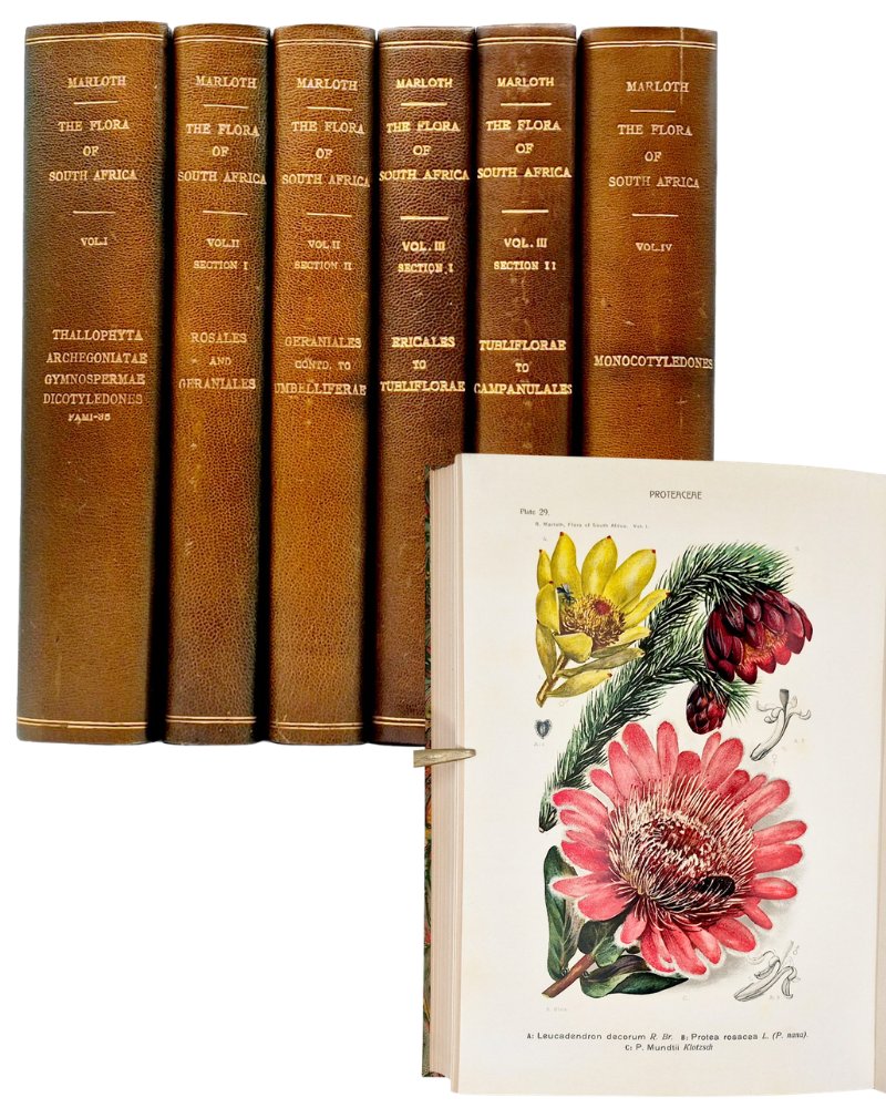 RareBookAuction's tweet photo. Auction 129 is open for bidding - https://t.co/N5RYsFgjQ2 https://t.co/rdeCB80I2Y
