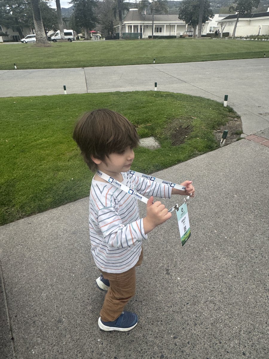 Ashley Wolf tweet media