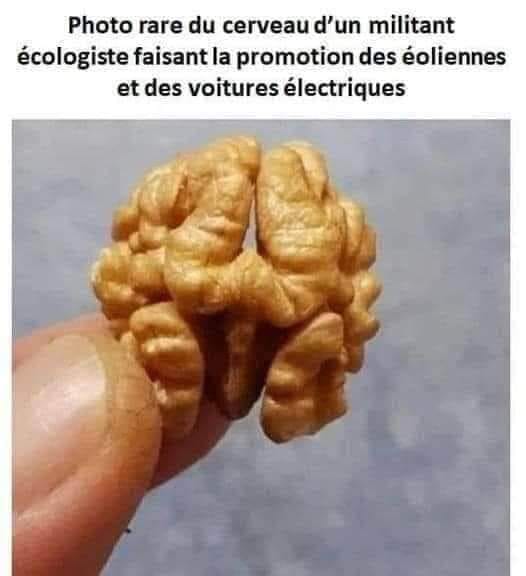 🇫🇷Olivier92🇺🇸 tweet media