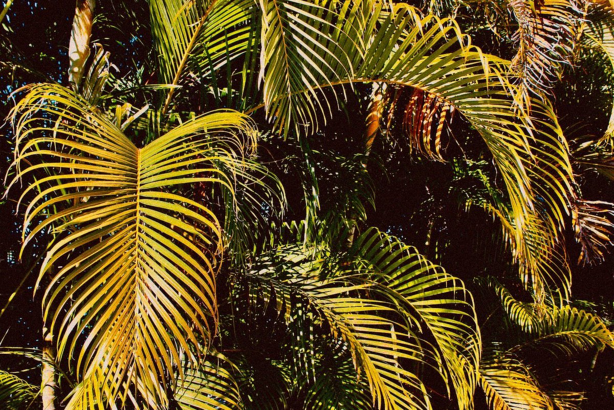 Malicious Maze tweet media