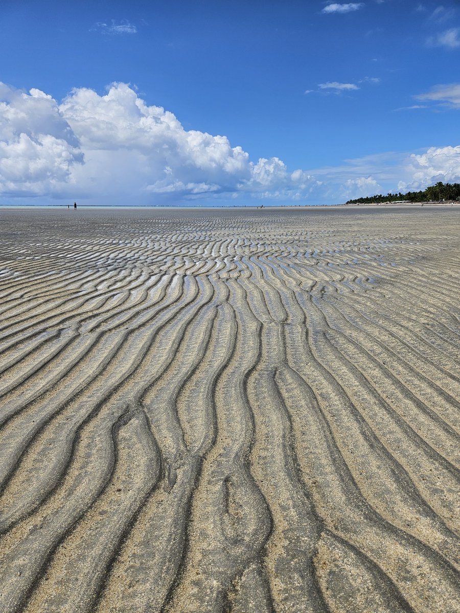 Romina Mattioni tweet media