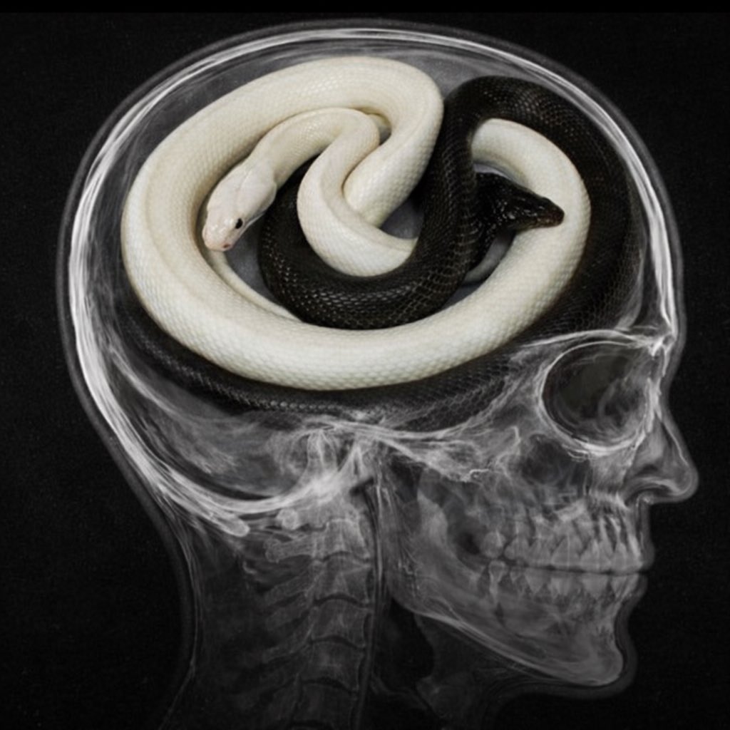 bu gece 12’de şundan geliyor