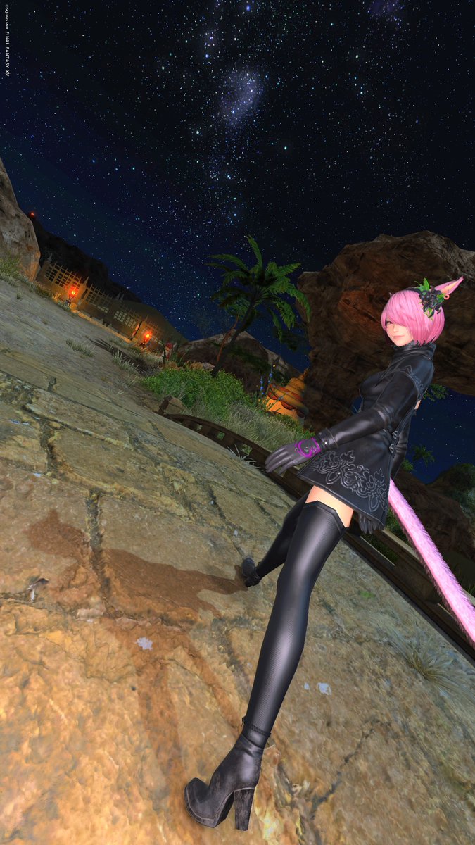 みんながプリンセスデーやバイオハザード9で盛り上がってる一方、私は