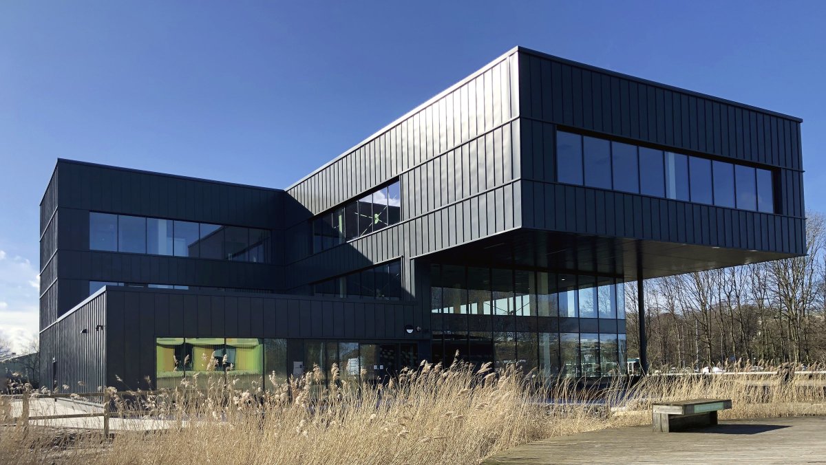 Derry Ltd tweet media