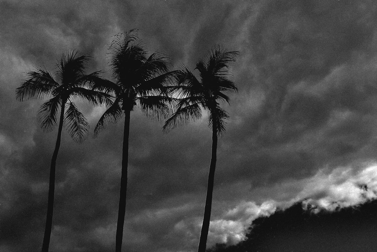 Malicious Maze tweet media