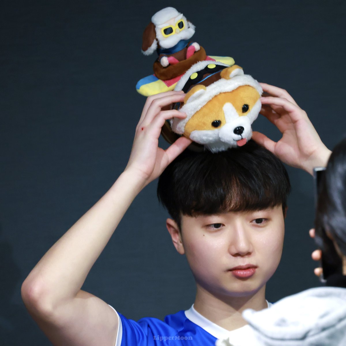 리퍼🌙 tweet media