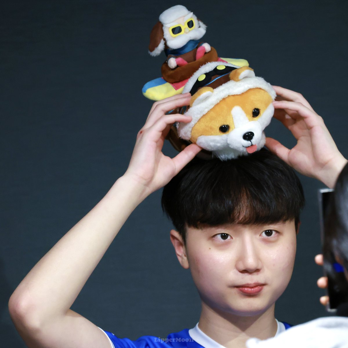 리퍼🌙 tweet media